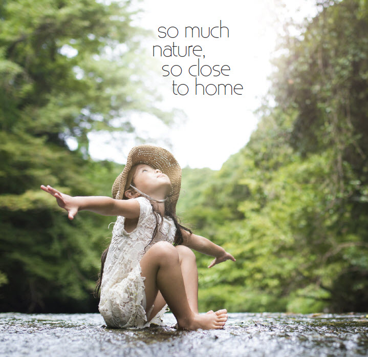 The Midwood Condo Location and Details at Hillview Avenue